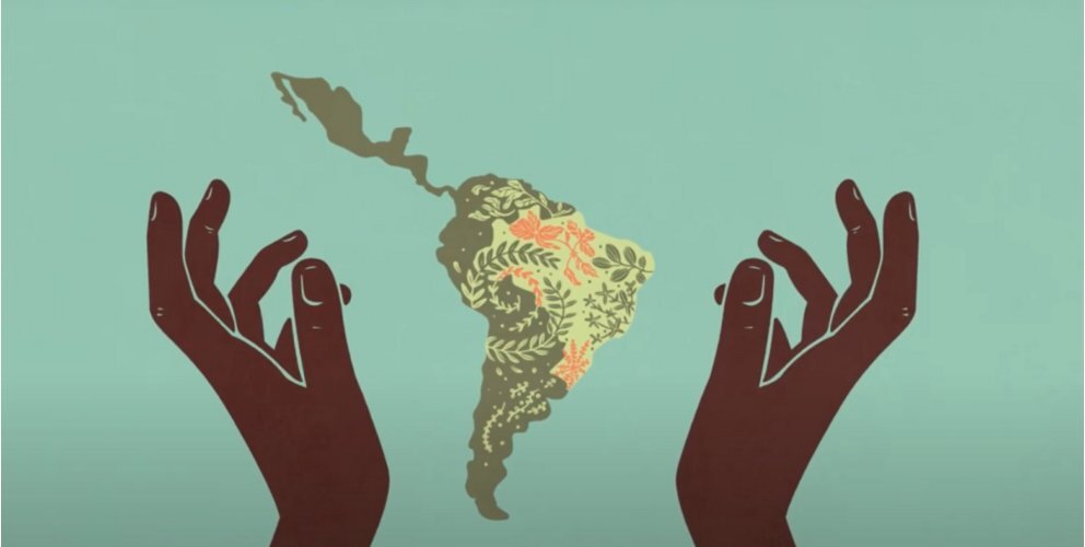 Rumbo a la COP 30: ¿qué deben saber las organizaciones de la sociedad civil y la filantropía independiente del Sur Global para participar en las Conferencias de Clima?